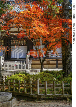 秋天的高野山、祭壇上伽藍、紅葉與近藤的楓葉 秋天的高野山、祭壇上伽藍、紅葉與近藤的楓葉 108801489