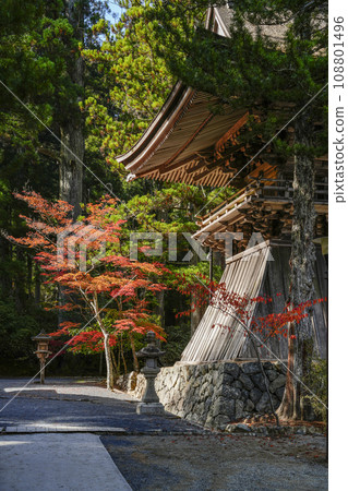 秋天的高野山壇上伽藍鐘樓 108801496