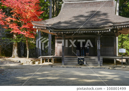 秋天的高野山、祭壇上伽藍、孔雀堂、楓樹 108801499