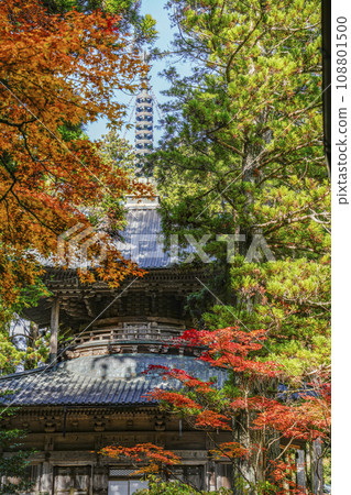秋天的高野山、團上伽藍西塔 108801500