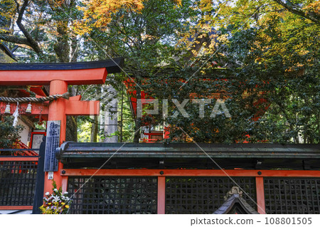 秋天的高野山，祭壇上伽藍，你的神社 108801505