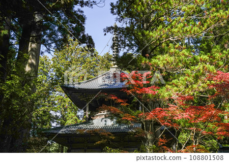 Mt. Koya in autumn, Danjo Garan West Tower Mt. Koya in autumn, Danjo Garan West Tower 108801508