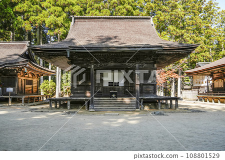秋天的高野山、祭壇上伽藍純共堂 108801529