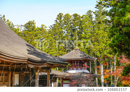 Koyasan in the autumn, Danjogaya east tower 108801537