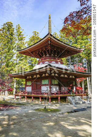 秋天的高野山，Danjogaya東塔 108801547