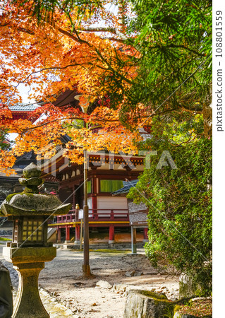 Mt. Koya in autumn, autumn leaves at Danjo Garan 108801559