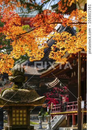 秋天的高野山、團上伽藍的紅葉 秋天的高野山、團上伽藍的紅葉 108801561