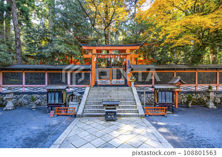 Mt. Koya in autumn, Danjo Garan, your shrine 108801563