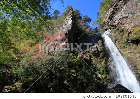 Oara Falls Natural Landscape Autumn (Kami City, Kochi Prefecture) 108801585