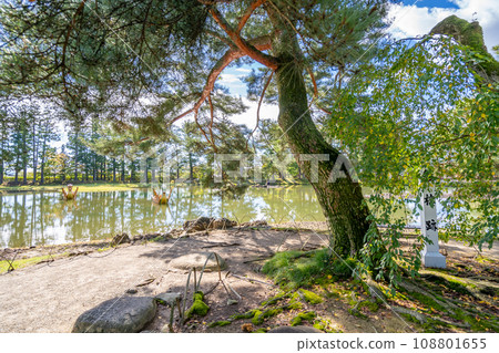 毛越寺鐘樓遺址；日本庭園史上特別有價值的平安時代淨土庭園遺跡；世界遺產；國家特別史蹟、特別名勝 108801655