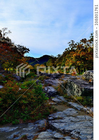 Saitama Prefecture Autumn Nagatoro Valley scenery 108801761
