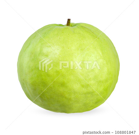 Guava fruit isolated on white background 108801847
