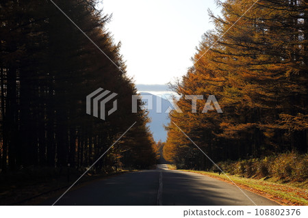 八岳高原小屋周圍的壯麗景色【長野縣南牧村】 108802376