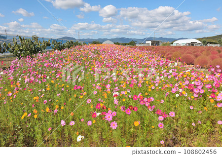 宇宙 宇宙 108802456