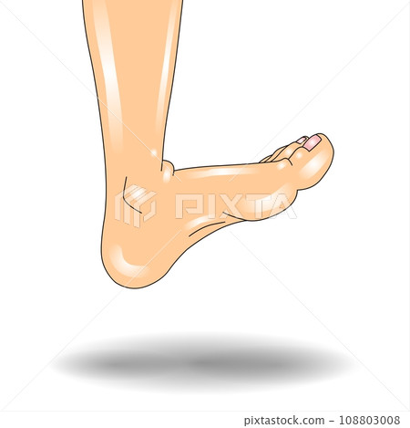 A male foot on a white background with a shadow 108803008