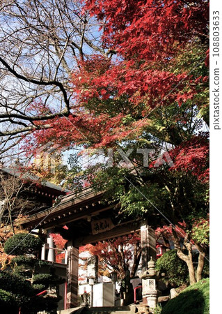 明石寺、元光山、篠栗町的秋葉 明石寺、元光山、篠栗町的秋葉 108803633