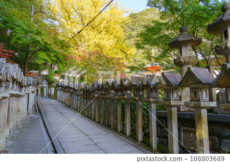[奈良縣] 志貴山朝砂小寺（2023年11月14日拍攝） 108803689