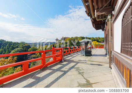 [Nara Prefecture] Mt. Shigi Asagosonji Temple (Photo taken on 2023/11/14) 108803700