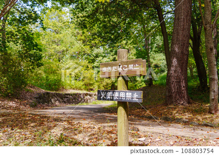 No tobacco walk sign 108803754