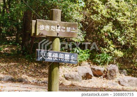No tobacco walk sign 108803755