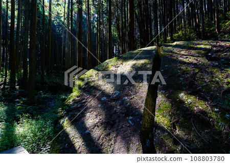 [Nara Prefecture] Nara City Yagyu Ittoseki (Photo taken on October 26, 2023) 108803780