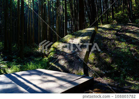 [Nara Prefecture] Nara City Yagyu Ittoseki (Photo taken on October 26, 2023) 108803782
