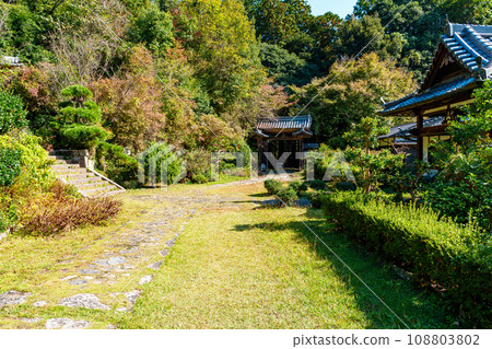 [奈良縣] 奈良市古仁寺（2023年11月7日拍攝） 108803802