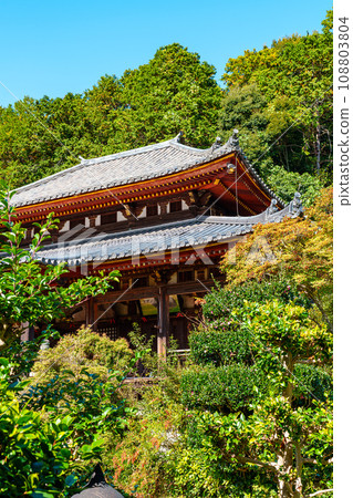 [奈良縣] 奈良市古仁寺（2023年11月7日拍攝） 108803804
