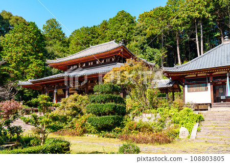 [奈良縣] 奈良市古仁寺（2023年11月7日拍攝） 108803805