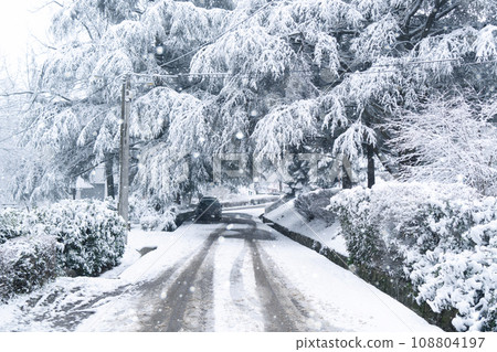 Winter landscape with snow-covered trees and road Winter landscape with snow-covered trees and road 108804197