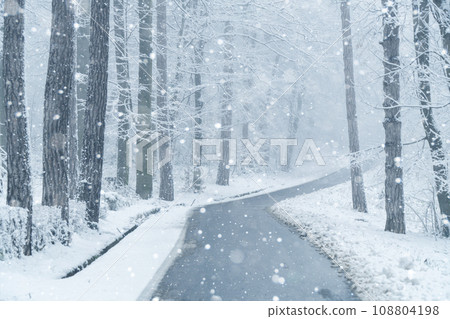 Winter landscape with snow-covered trees and road Winter landscape with snow-covered trees and road 108804198