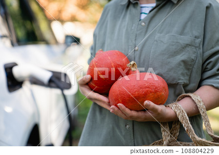 Woman with shopping bag and pumpkins next to a charging electric car in the yard of a country house Woman with shopping bag and pumpkins next to a charging electric car in the yard of a country house 108804229