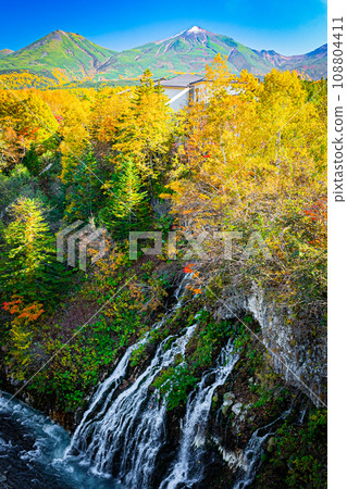 Fall in Hokkaido 108804411