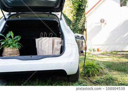 Electric car with flowers charges near a country house Electric car with flowers charges near a country house 108804530
