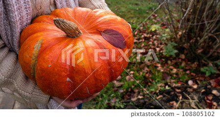 Woman farmer with pumpkin. 108805102