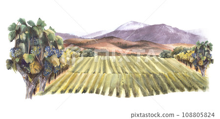 Watercolor landscape with grape fields, vineyards, bushes, trees, grape plant, hills and mountains. Rural landscape, winemaking label. Hand draw watercolor illustration isolated on white background. Watercolor landscape with grape fields, vineyards, bushes, trees, grape plant, hills and mountains. Rural landscape, winemaking label. Hand draw watercolor illustration isolated on white background. 108805824