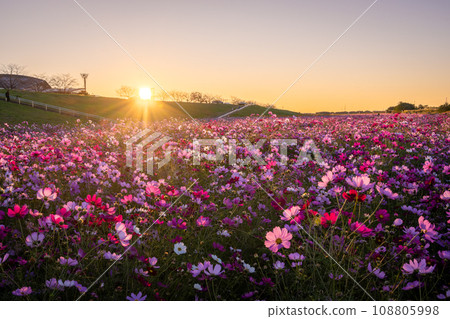 吹上宇宙場的日出 108805998