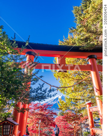 (山梨縣)新倉山淺間神社的紅色鳥居和紅葉美麗的富士山 (山梨縣)新倉山淺間神社的紅色鳥居和紅葉美麗的富士山 108806454