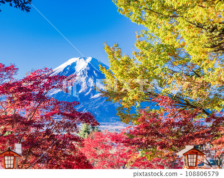 （山梨縣）新倉山淺間神社的紅色鳥居和紅葉美麗的富士山 108806579