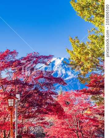（山梨縣）新倉山淺間神社的紅色鳥居和紅葉美麗的富士山 108806580