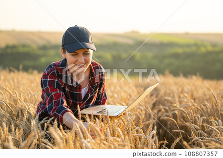 Woman farmer working with laptop on wheat field. Smart farming and digital agriculture 108807357