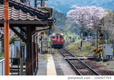 Cherry blossoms, station and local train 108807764