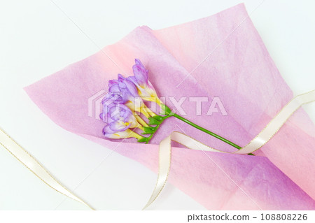 Purple freesia, single flower, wrapping (copy space, white background) Purple freesia, single flower, wrapping (copy space, white background) 108808226