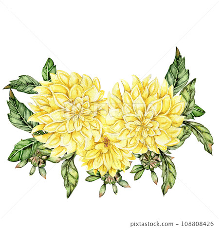 Watercolor dahlia flowers composition. Hand drawn illustration of a blooming flower garden. Design for baby shower party, birthday, cake, holiday celebration design, posters,greetings card,invitation. Watercolor dahlia flowers composition. Hand drawn illustration of a blooming flower garden. Design for baby shower party, birthday, cake, holiday celebration design, posters,greetings card,invitation. 108808426