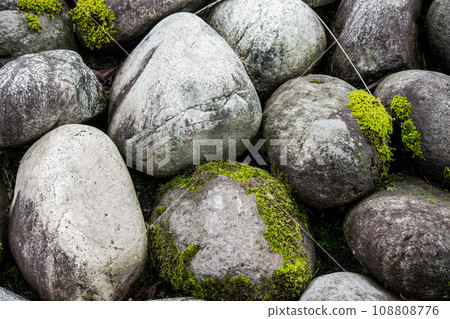 Moss growing stone Moss growing stone 108808776