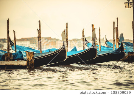 gondolas in a canal 108809029