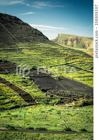 mountain landscape with green field 108809107