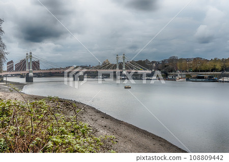 View of river Thames and Albert Bridge, London, England, UK 108809442