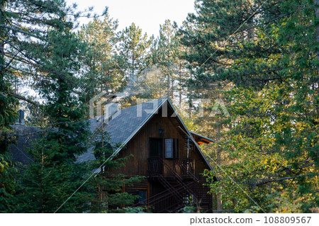Wooden house in a pine forest at sunset Wooden house in a pine forest at sunset 108809567