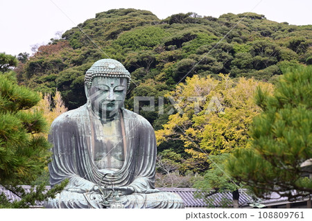 The Great Buddha of Kamakura The Great Buddha of Kamakura 108809761